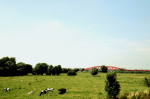 De uiterwaarden van de Ijssel 2